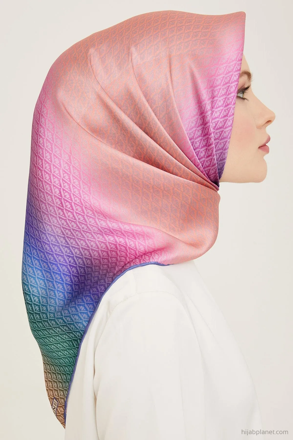 Armine Hathway Women Silk Scarf #3