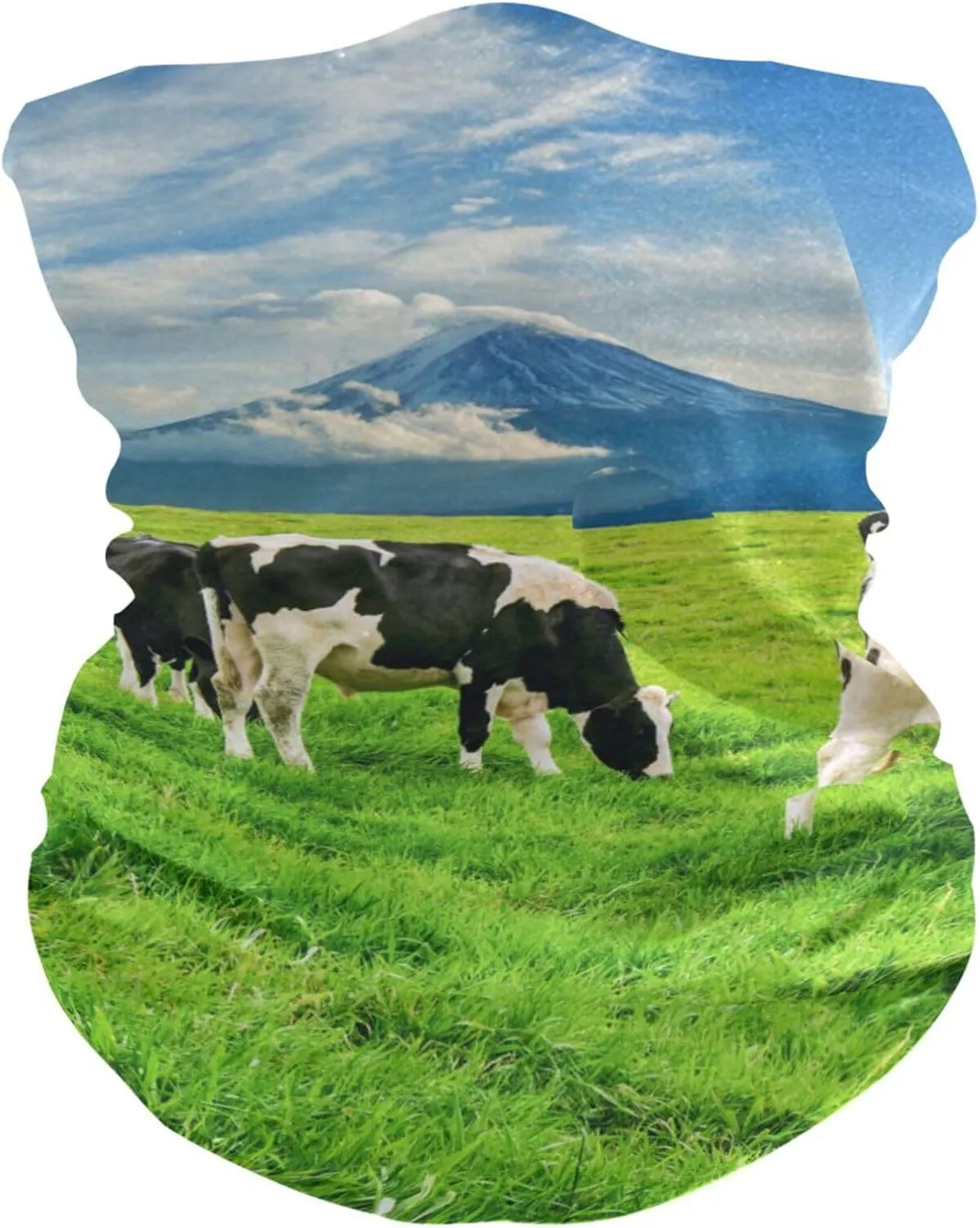 susiyo Cows Eat Grass on Green Field Bandana Face Mask Neck Gaiter UV Sun Protection Face Scarf for Outdoor Running